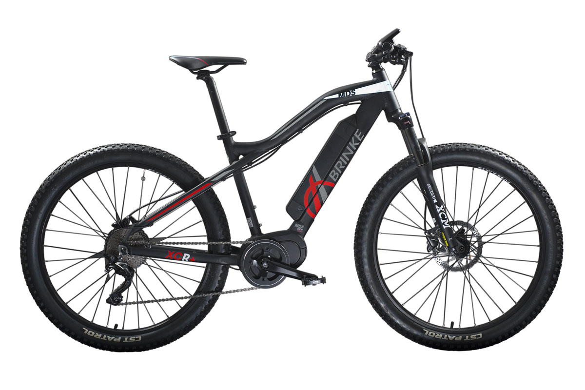 Bici fuori strada Ebike Brinke XCR500